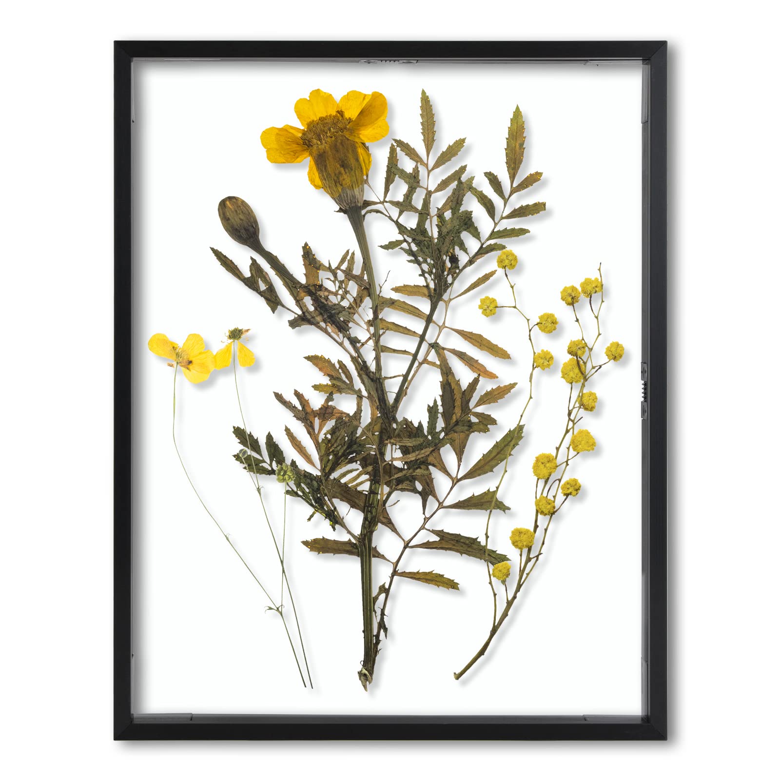 Frametory floating frame 11x14 with front-glass highlights photos in black aluminum finish.