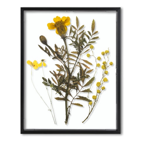Frametory floating frame 11x14 with front-glass highlights photos in black aluminum finish.