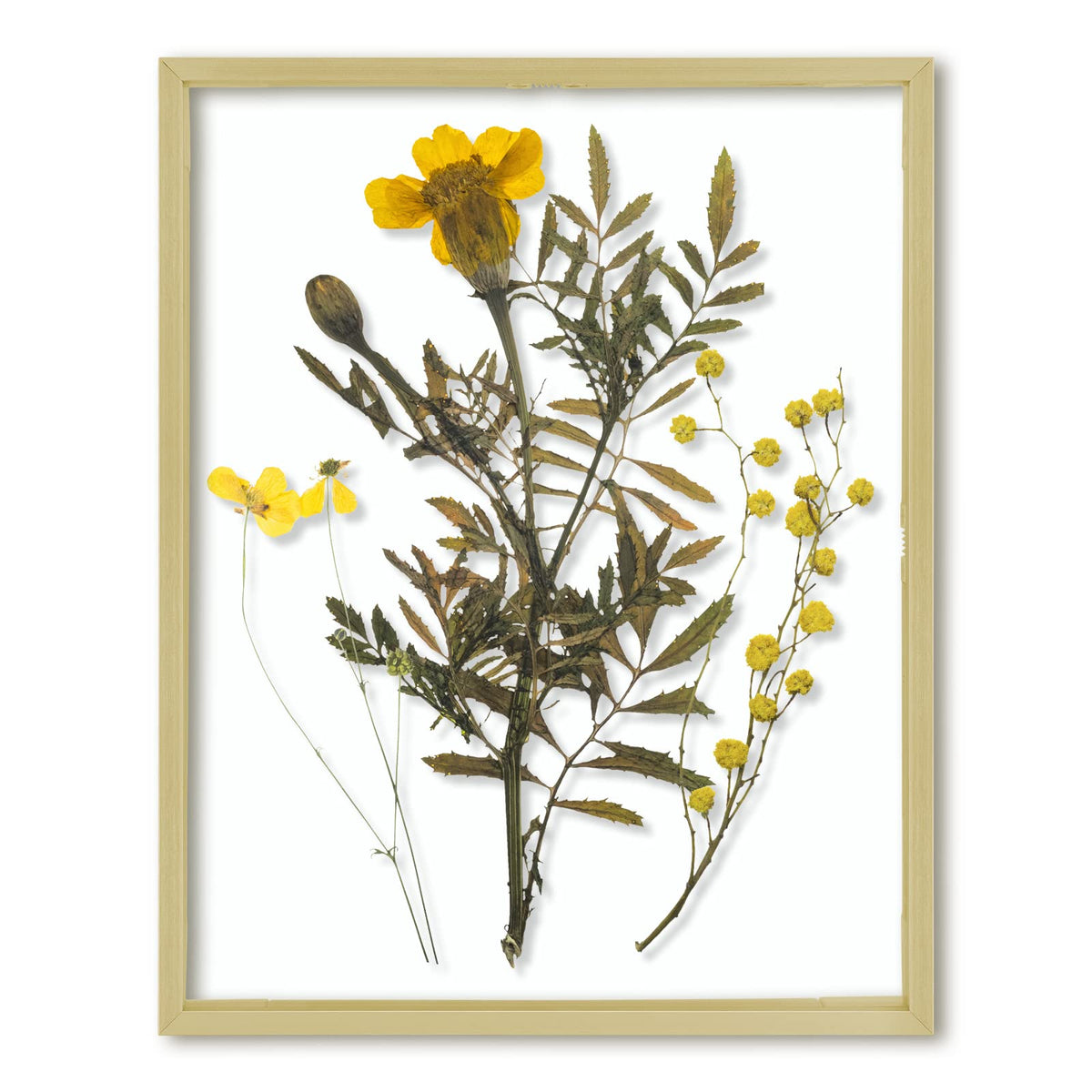 Frametory floating frame 11x14 with gold finish, great for stylish wall displays.