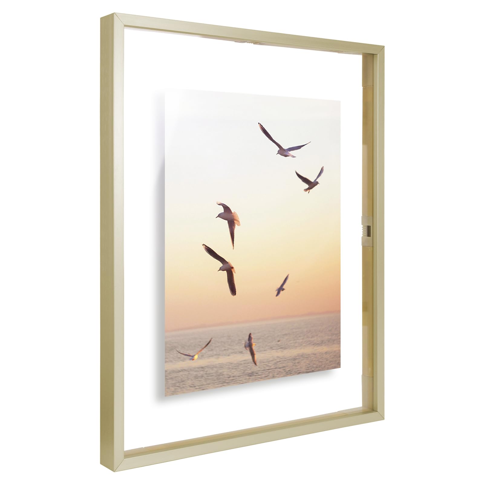 Frametory plexiglass back detail ensures secure placement of items.