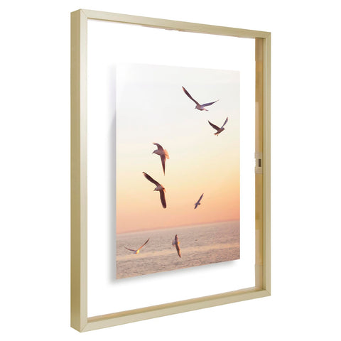 Frametory plexiglass back detail ensures secure placement of items.
