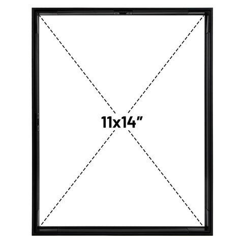 Frametory pressed-flowers-display features botanicals secured against plexiglass backing.