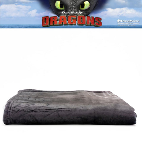 Franco Toothless throw artwork design: bold Night Fury print energizes the room.