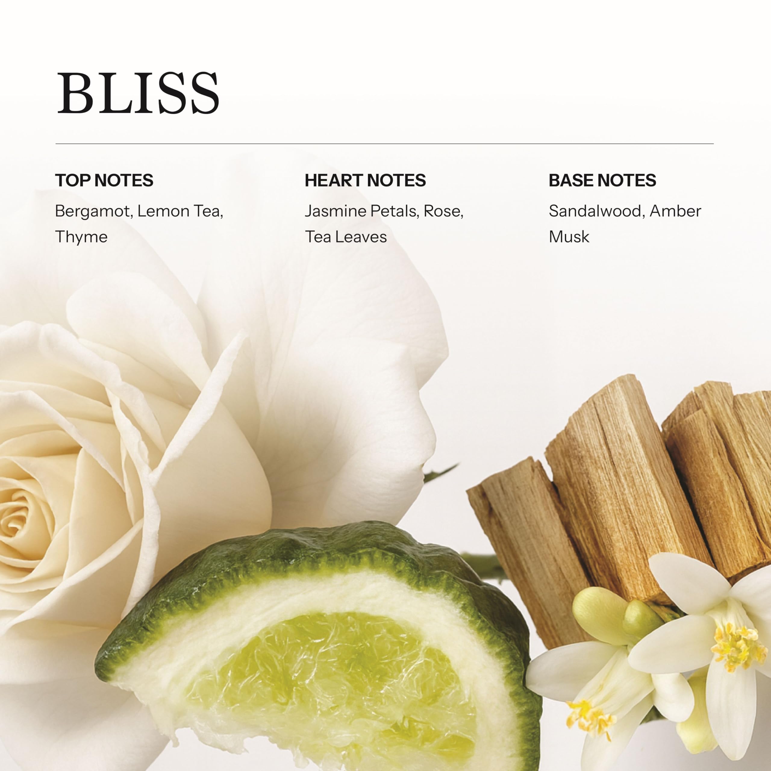 Frave Bliss diffuser setup showing easy integration with waterless and cold-air diffusers