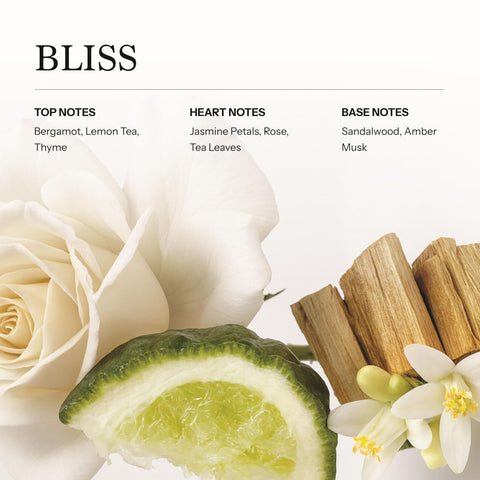 Frave Bliss diffuser setup showing easy integration with waterless and cold-air diffusers