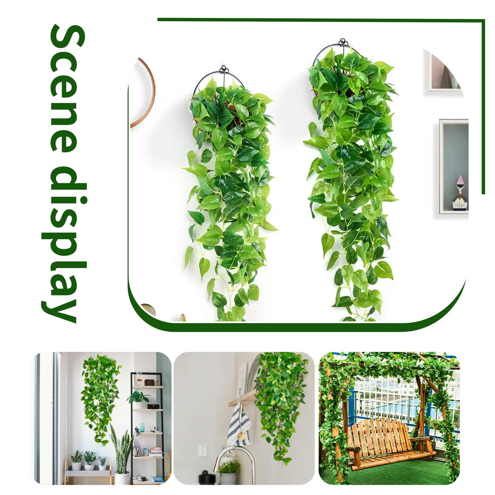 Freyalife hanging plants on wall decor indoor shot for stylish spaces