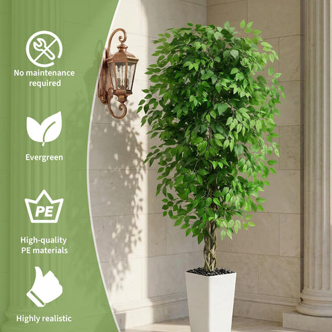 FSOHOI 6ft ficus tree fits porches and entryways