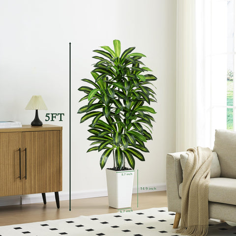 Assembled FSOHOI artificial Dracaena tree in minutes in a living room