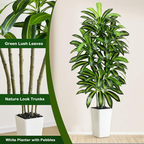 FSOHOI Dracaena tree trunk texture detail for natural appearance