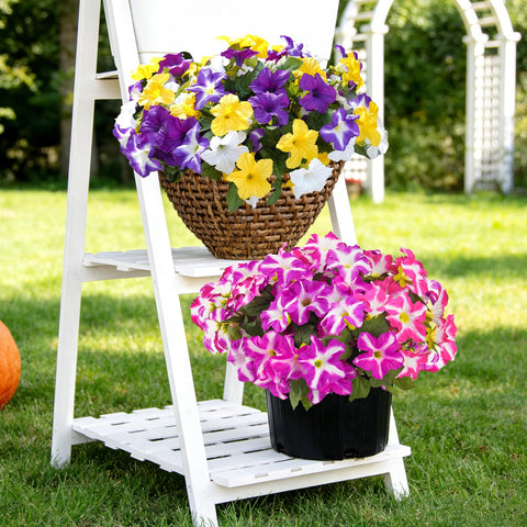 FULLMUSIC front door display with morning glory blooms in planters.