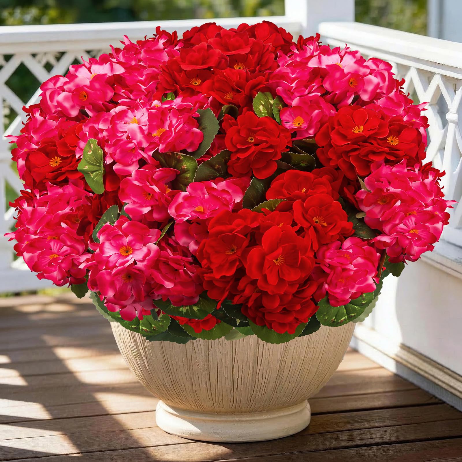 FULLMUSIC geranium outdoor bloom bundle offers year-round color for patios