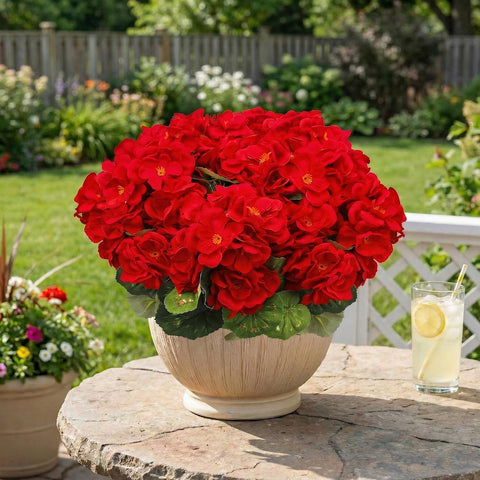 FULLMUSIC no-maintenance blooms ideal for busy homes.