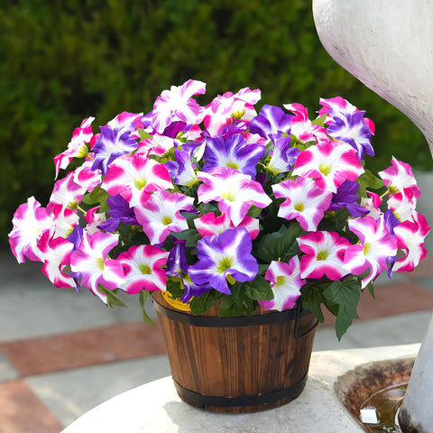 FullMUSIC Outdoor UV-resistant flowers on doorway provide durable year-round color.