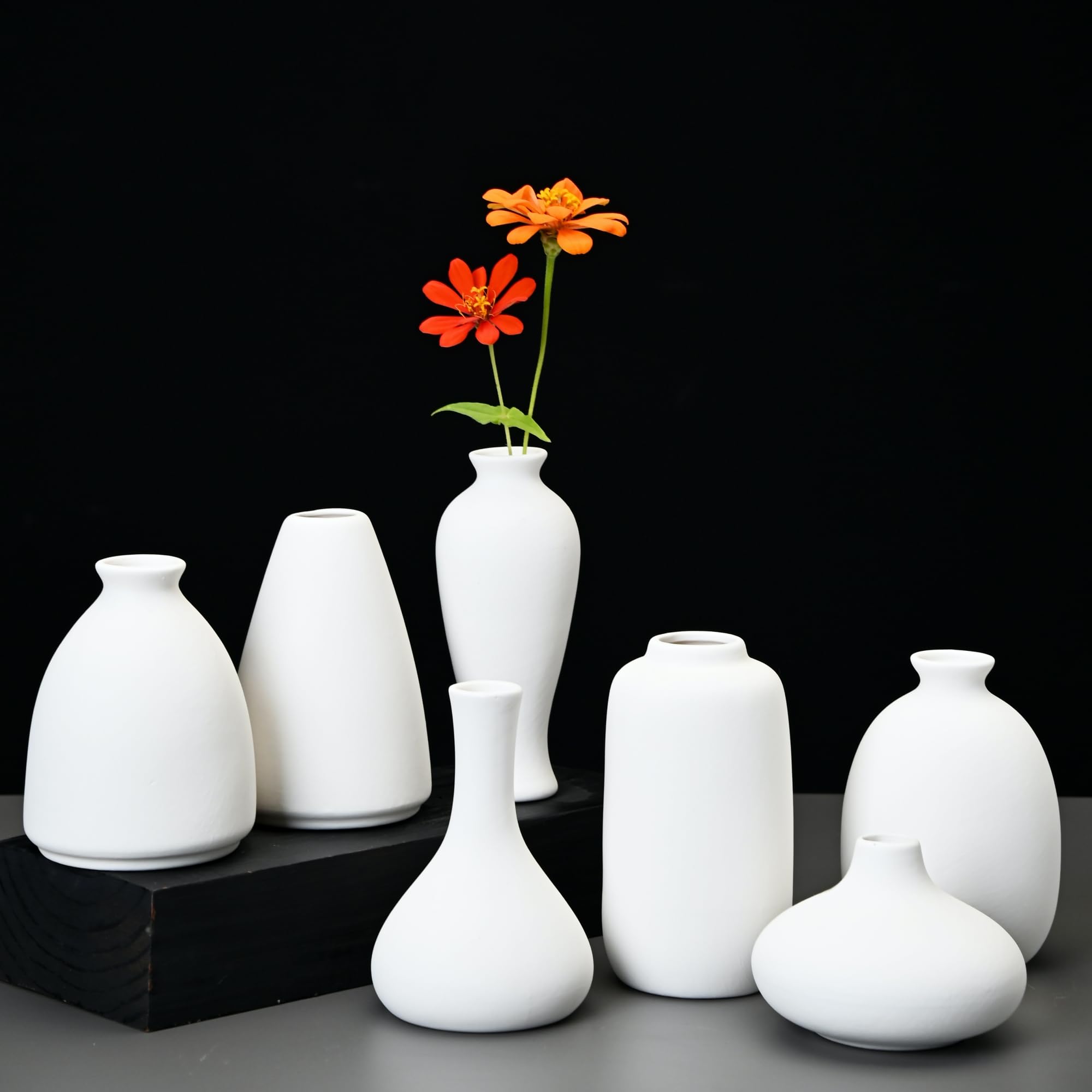 Fulloog bud vase set showcases nine shapes for versatile decor accents.
