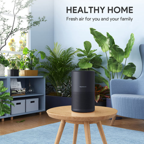 Fulminare air purifier with H13 HEPA filter installed and ready.