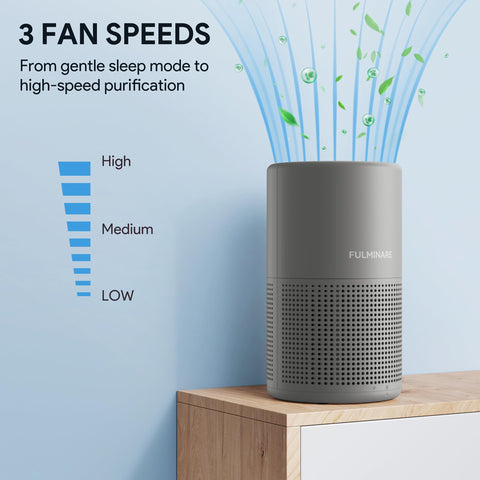 FULMINARE compact purifier fits on desks and shelves.