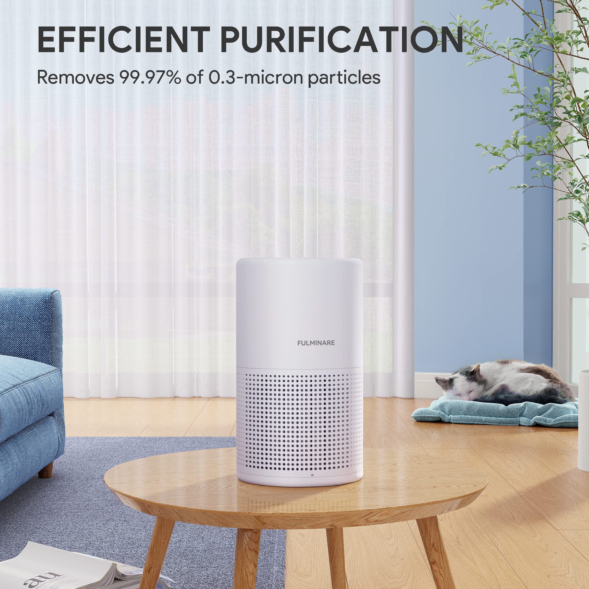 FULMINARE H13 keeps pet spaces fresher with cleaner air.