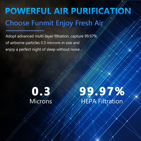 Funmit LV-H132 true HEPA layer delivers high-grade filtration