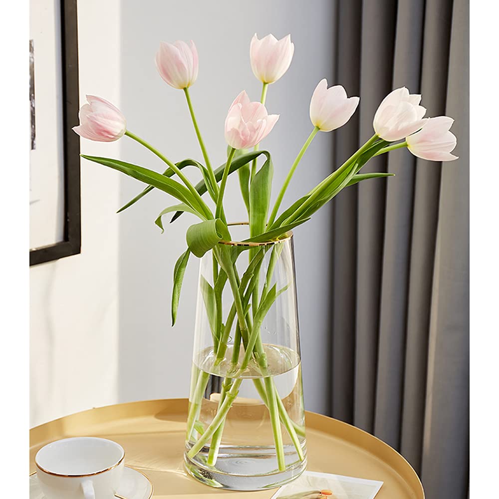 FUNSOBA clear glass flower vase with gold mouth creates elegant centerpieces.