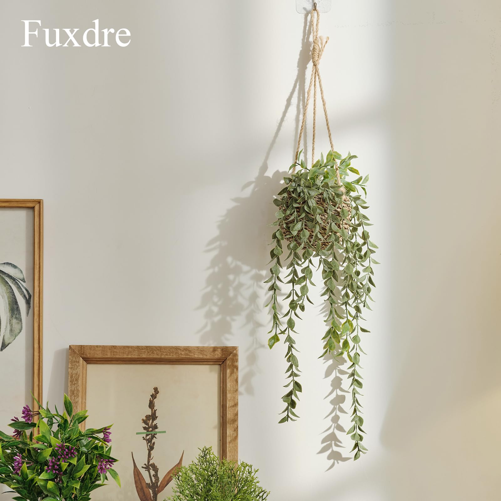 Fuxdre packaging ensures leaves arrive intact for easy storage and display.