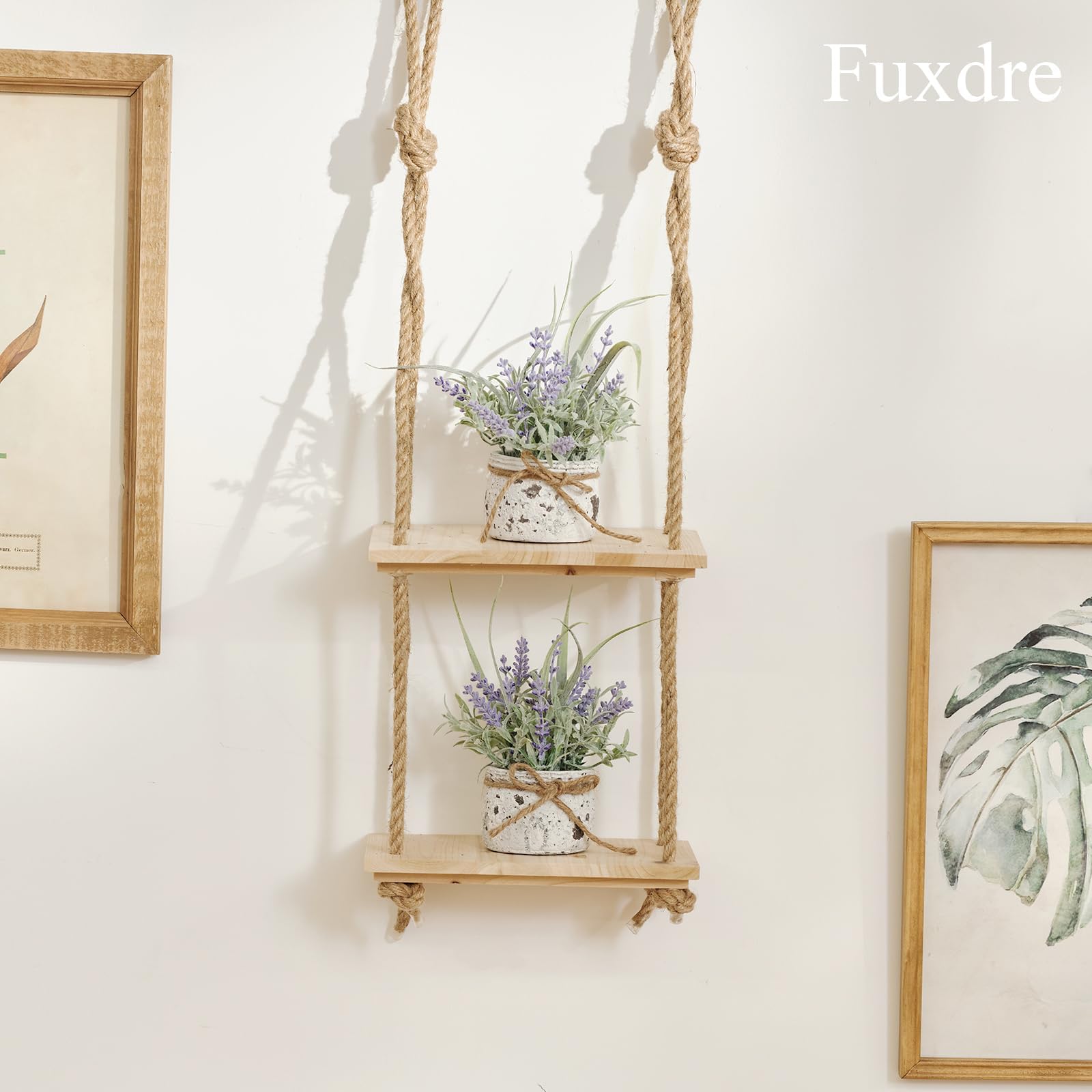 Fuxdre lavender plant on living room shelves adds a soft focal point.