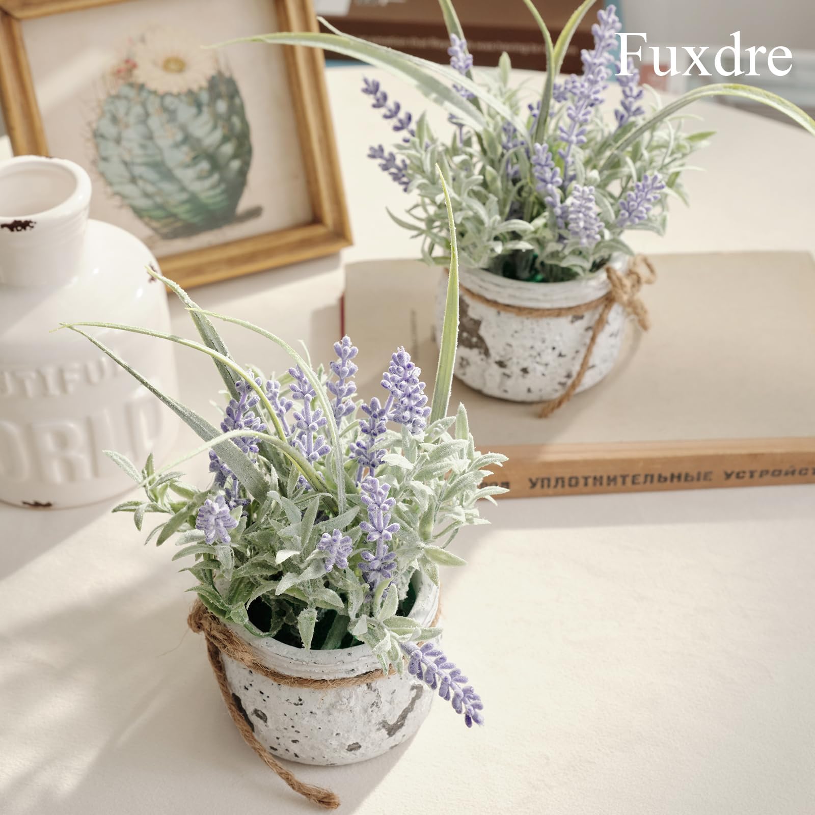Fuxdre 2-pack lavender set offers versatile decor for any room.