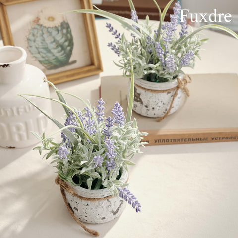 Fuxdre 2-pack lavender set offers versatile decor for any room.