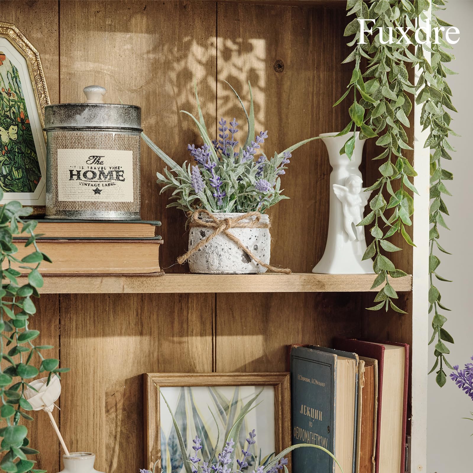 Fuxdre lavender plant on bathroom shelves refreshes the space without upkeep.