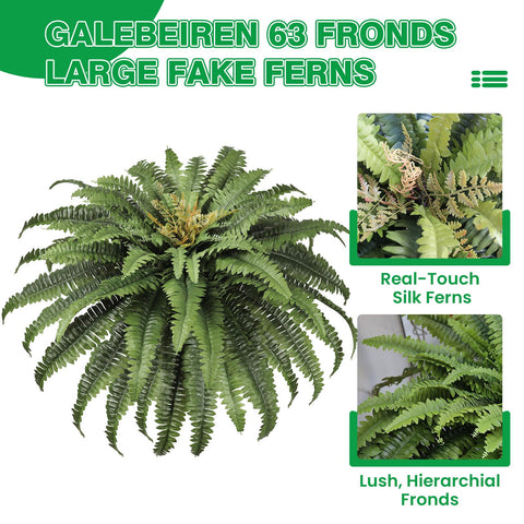 Dark green Galebeiren fern adds indoor-outdoor versatility.