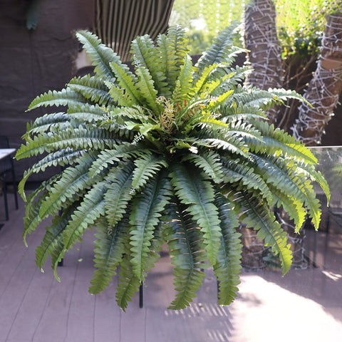 Porch planter display featuring Galebeiren fern for farmhouse charm.