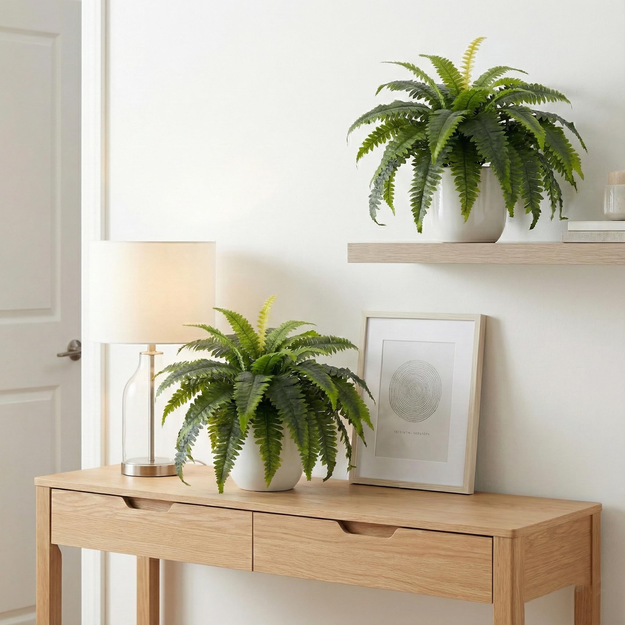 Galebeiren no-water maintenance fern for easy care.