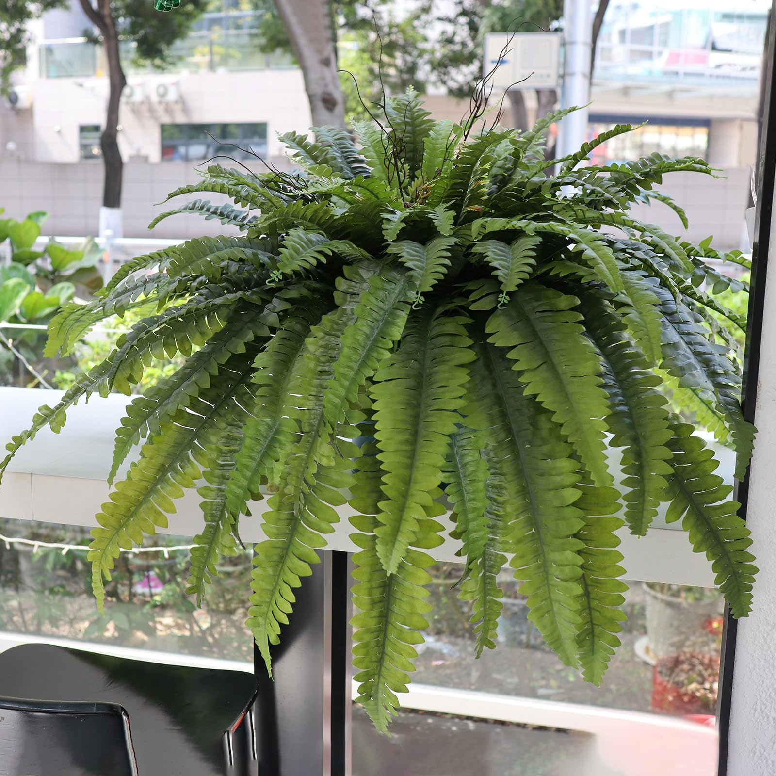 Galebeiren low-maintenance greenery requires no water or sunlight.