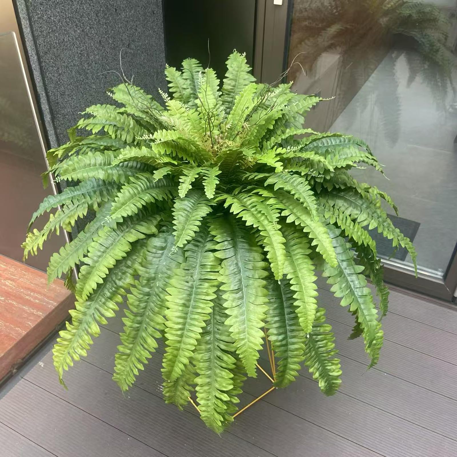 Galebeiren outdoor-indoor fern decor works well on patios and in offices.