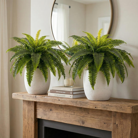 Galebeiren porch decor fern adds year-round greenery.