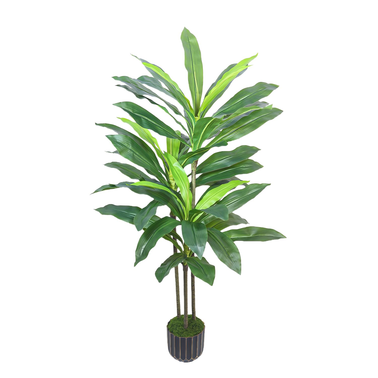 Gaoqisi 48in Dracaena tree full view enhances home decor.