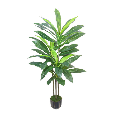 Gaoqisi 48in Dracaena tree full view enhances home decor.