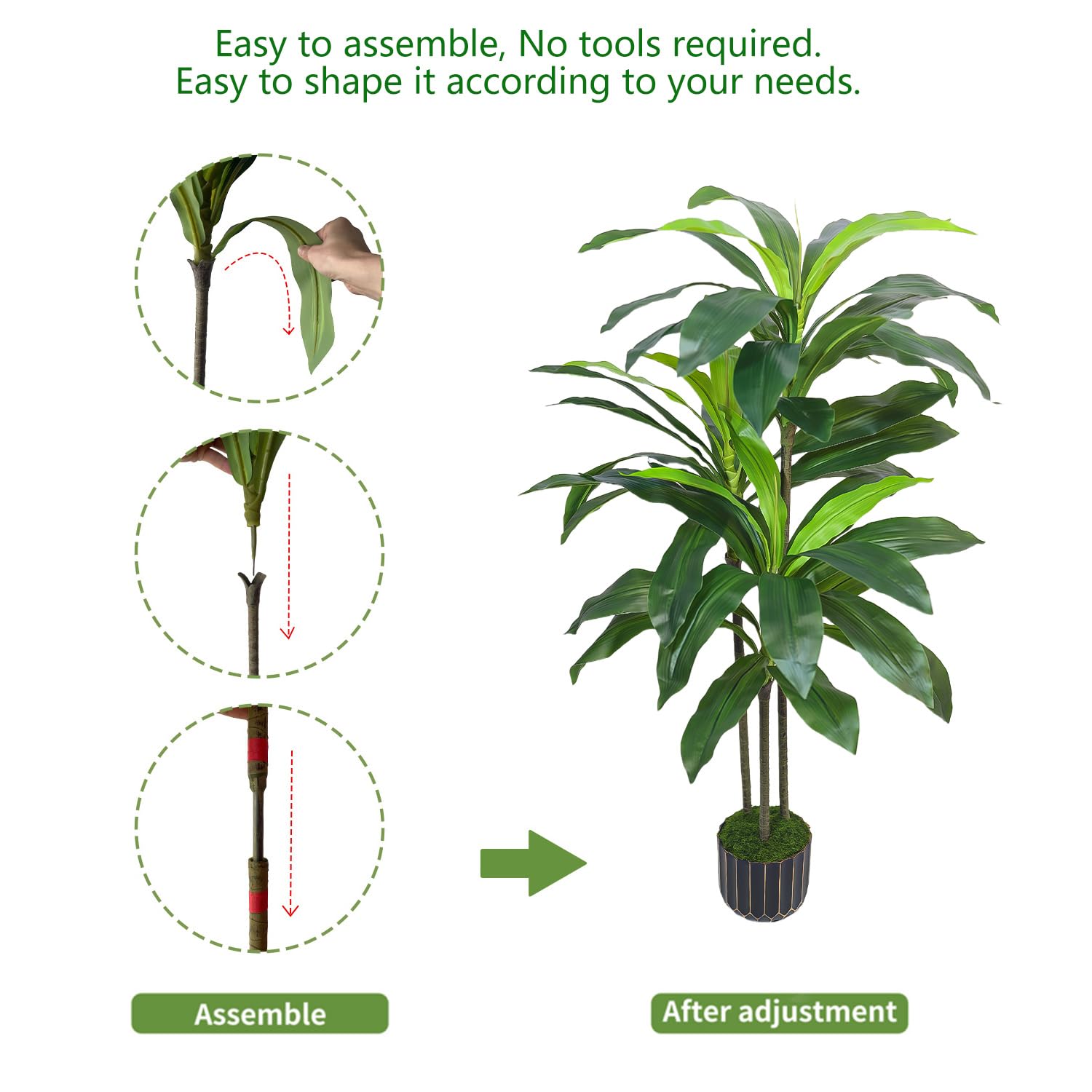 Gaoqisi Dracaena tree trunk texture adds realistic detail.