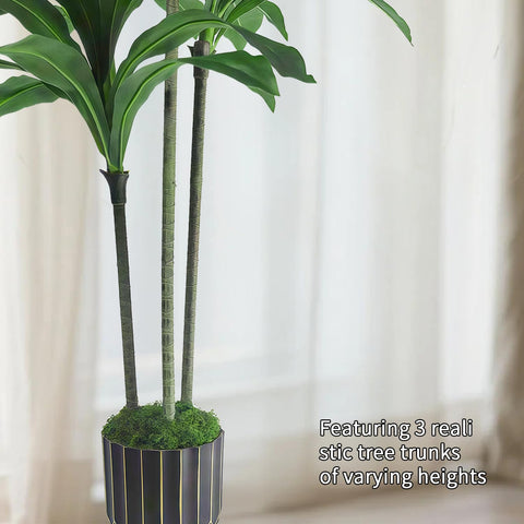 Gaoqisi Dracaena white planter moss emphasizes convenient setup.