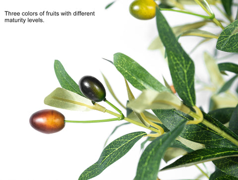 Gaoqisi home office olive tree demonstrates low-maintenance decor.