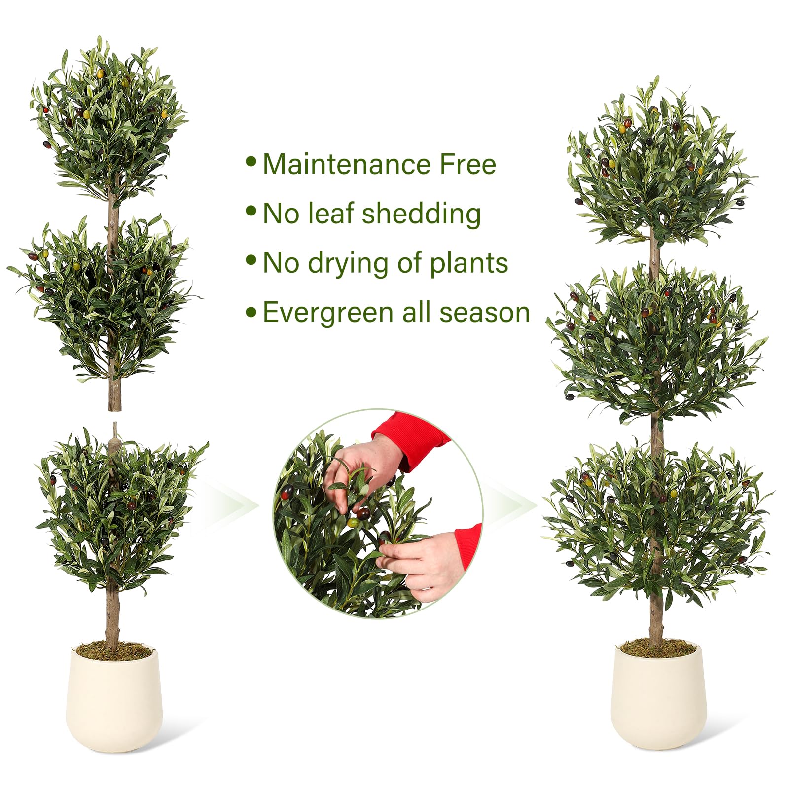 GarveeHome topiary assembly steps guide quick setup and shaping.