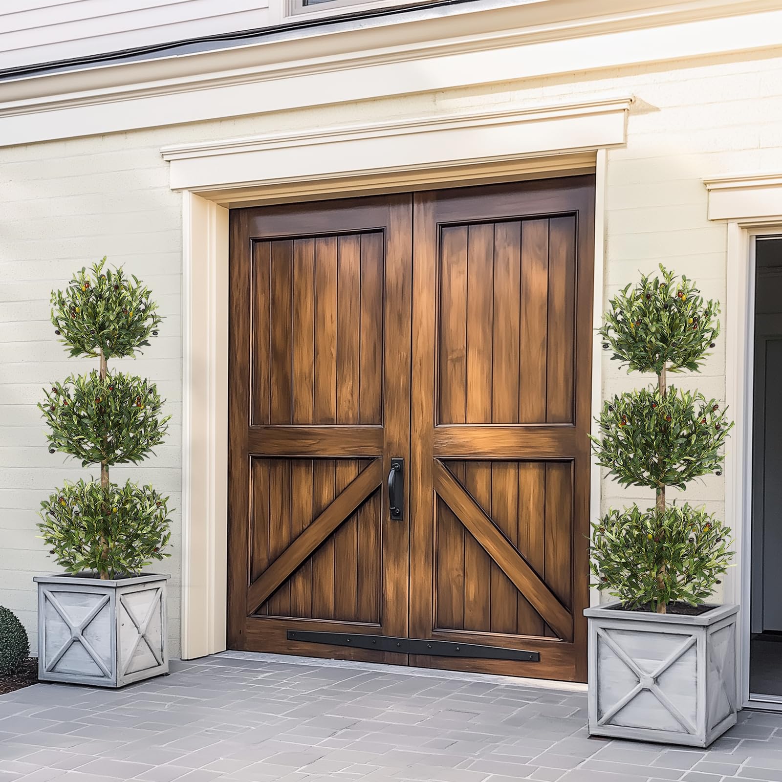 GarveeHome olive tree indoors adds a refined lobby or living room focal point.