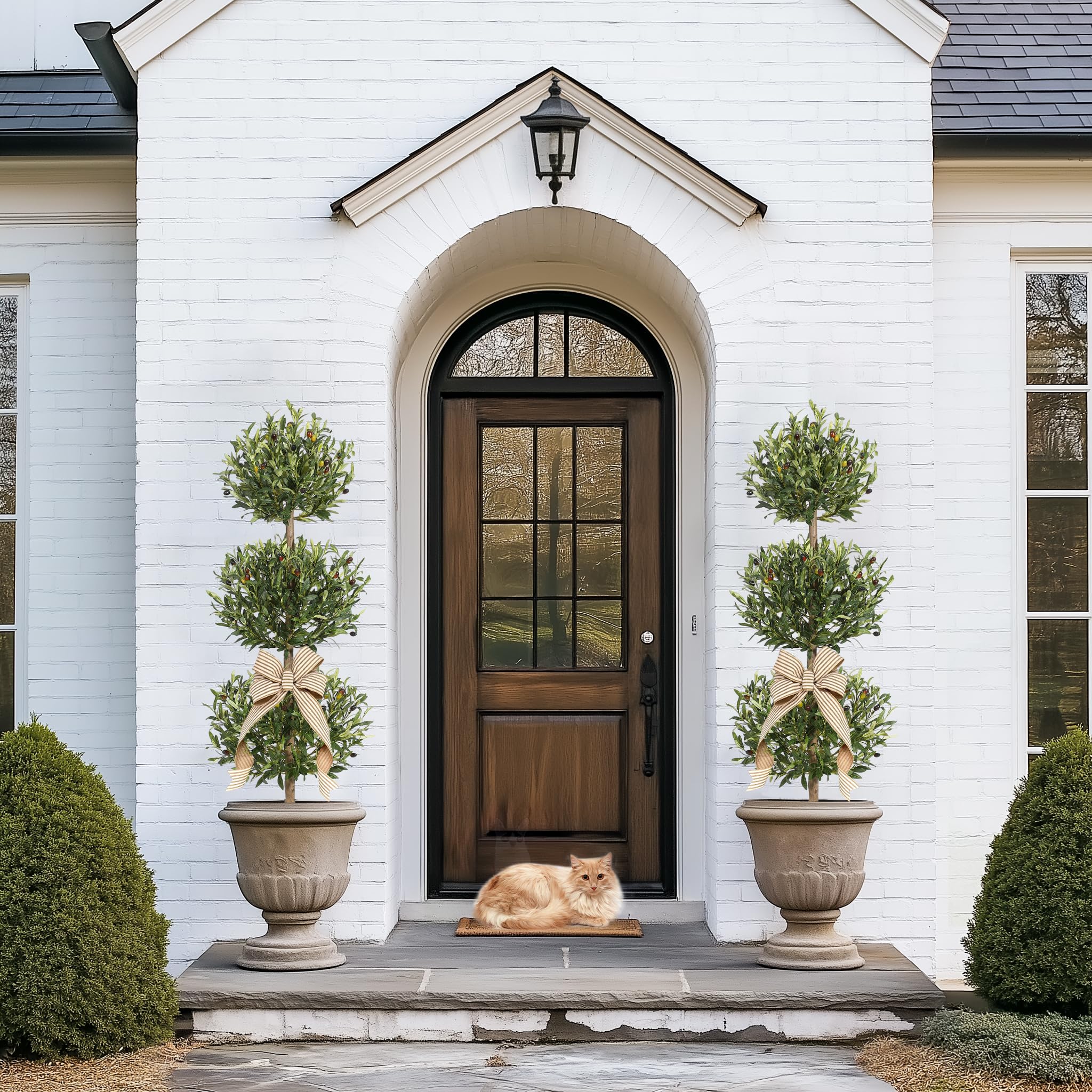 GarveeHome olive tree on a porch enhances outdoor garden corners.