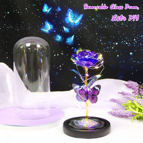 Gee Hut diy removable dome, customize with personal gifts inside.