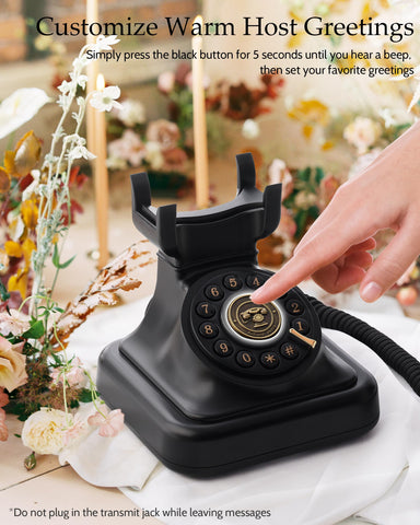 Generic Audio Guest Book for bridal showers records intimate messages from guests.