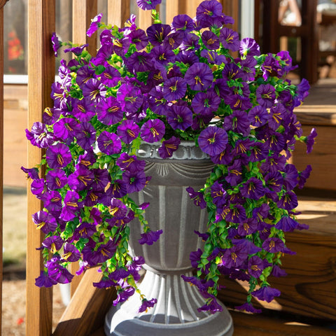 Generic purple morning glory packs cover larger areas with vivid color and texture.