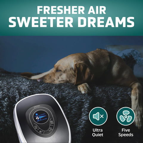 GermGuardian HEPA Pet Pure filter captures allergens and pet dander