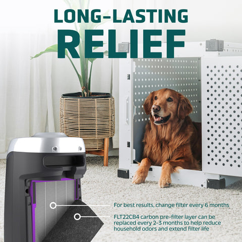 GermGuardian Pet Pure Filter B with activated carbon reduces pet odors.