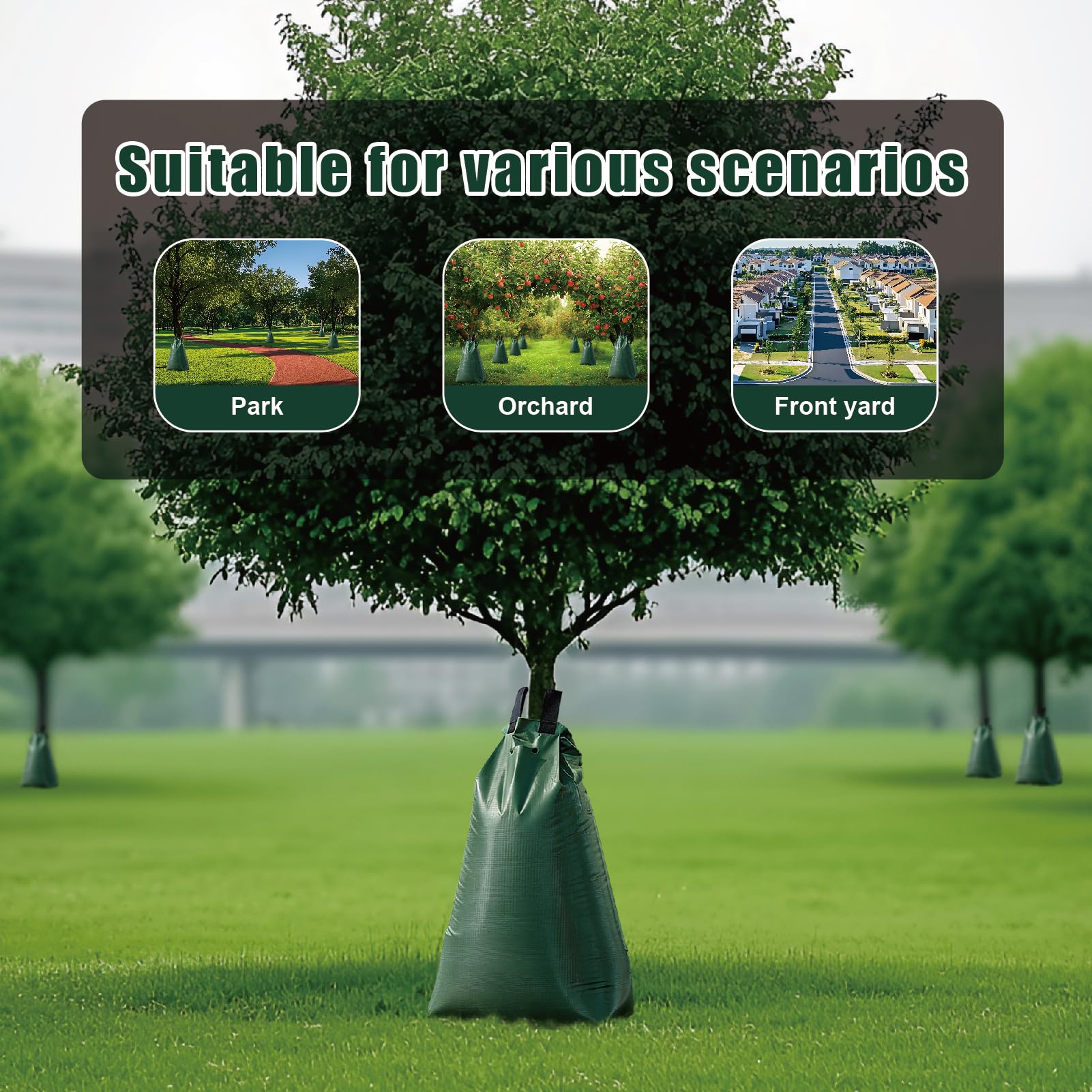 GGYKJSK Tree Gator style ring surrounds trunk for efficient watering.