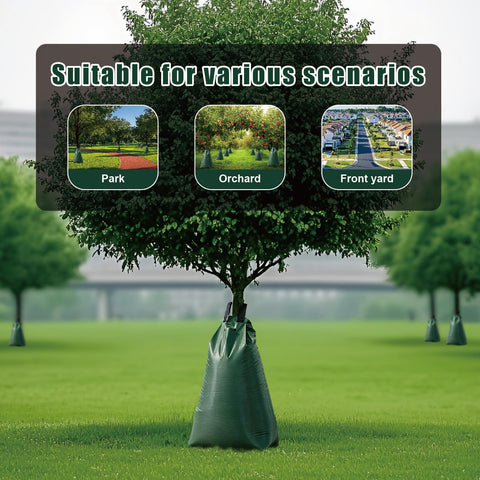 GGYKJSK Tree Gator style ring surrounds trunk for efficient watering.