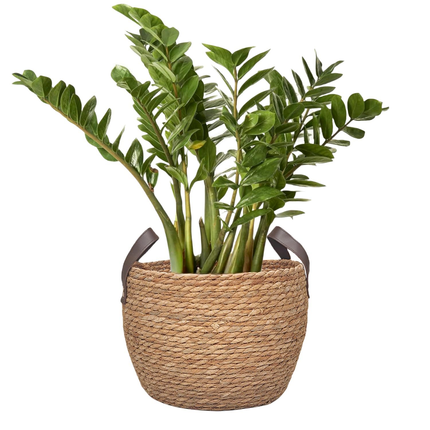 GIB round 11-inch basket top-down view highlighting compact nesting storage
